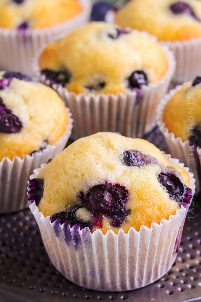 Blueberry Muffin Recipe