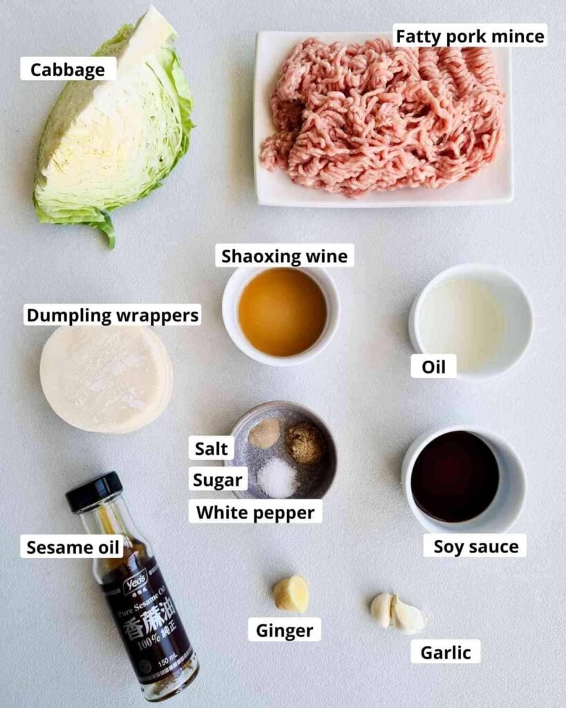 How to Cook Dumplings Recipe – A Simple Guide